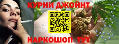стаф Кинель