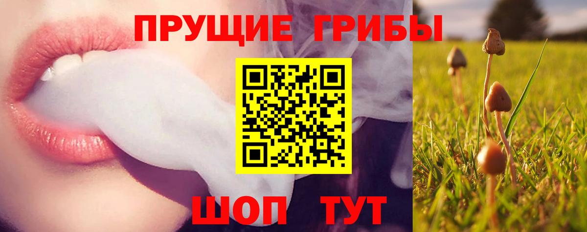 Кропоткин  Псилоцибиновые грибы Magic Shrooms  Вход с VPN 
